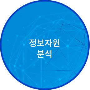 정보자원 분석